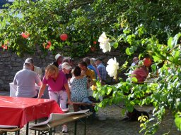 Sommerfest 2026